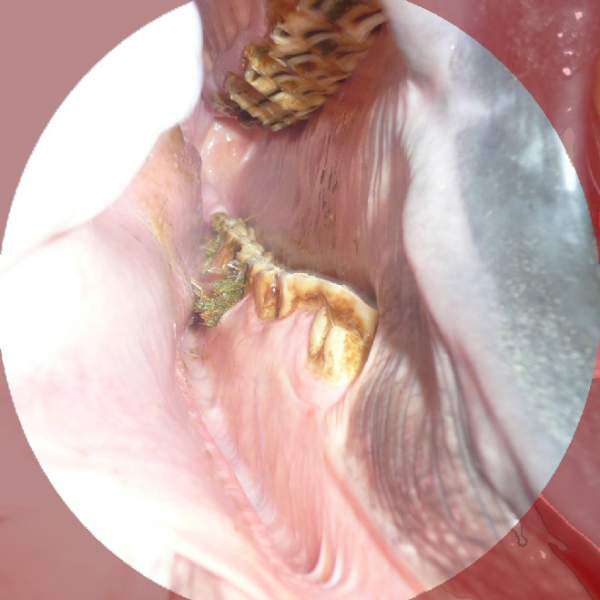 gallery/8932355-cd4ea