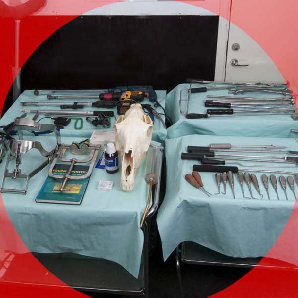 gallery/8932363-5fynb