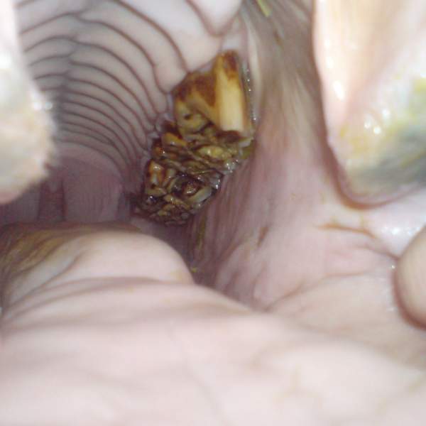 gallery/8932395-sdsqc