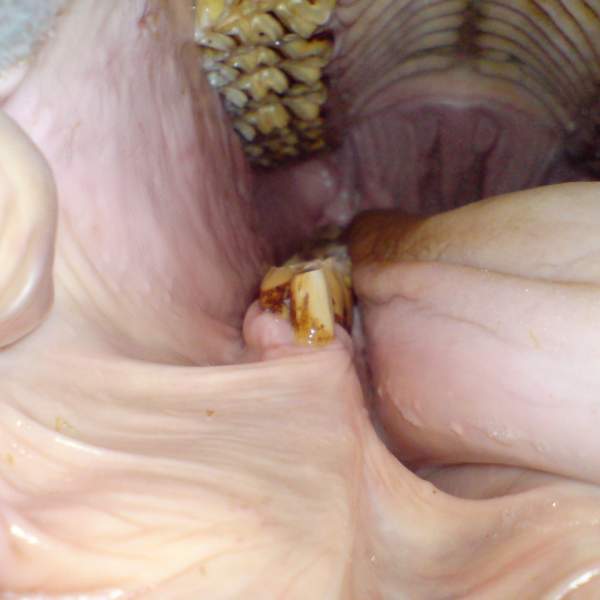 gallery/8932413-dct9m