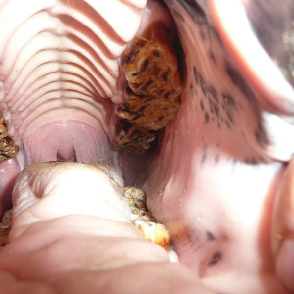 gallery/8932445-gkiep