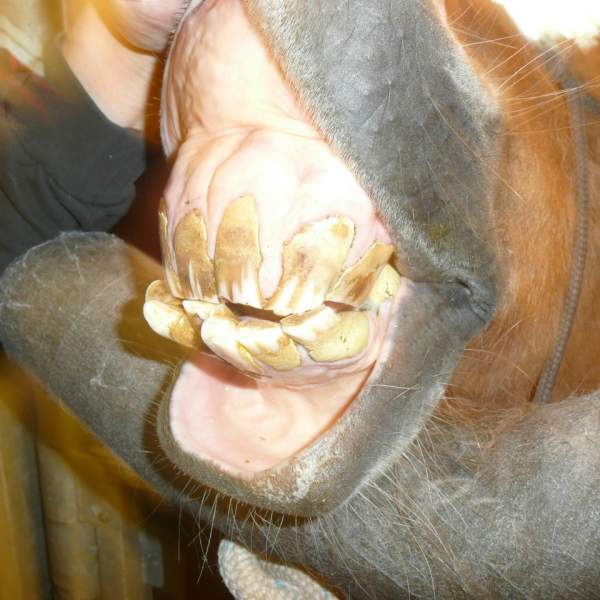 gallery/8932575-qfn1n