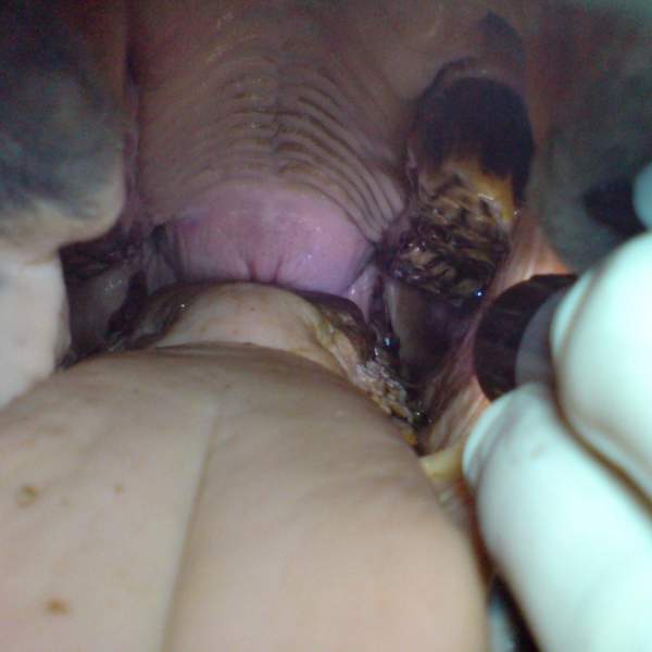 gallery/8932591-rgakn